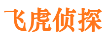 保定婚外情调查取证